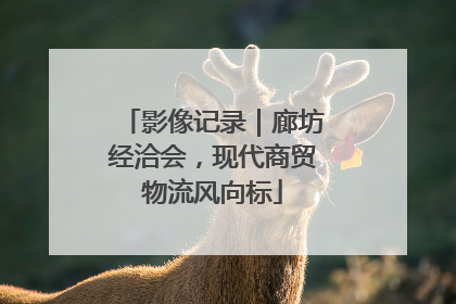 影像记录｜廊坊经洽会，现代商贸物流风向标