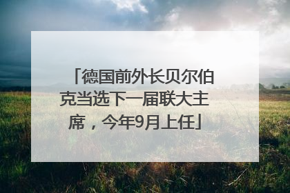 德国前外长贝尔伯克当选下一届联大主席，今年9月上任