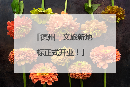 德州一文旅新地标正式开业！