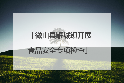 微山县驩城镇开展食品安全专项检查