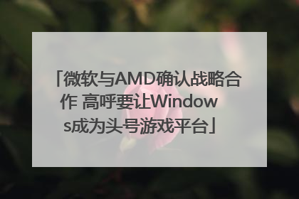 微软与AMD确认战略合作 高呼要让Windows成为头号游戏平台