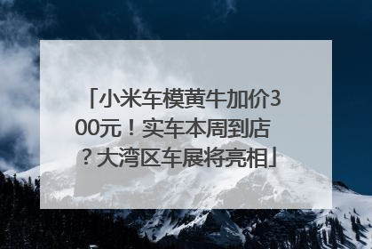 小米车模黄牛加价300元！实车本周到店？大湾区车展将亮相