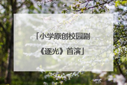 小学原创校园剧《逐光》首演