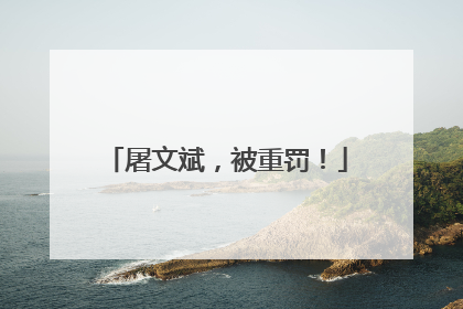 屠文斌，被重罚！