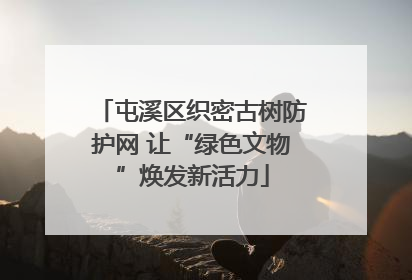 屯溪区织密古树防护网 让“绿色文物”焕发新活力