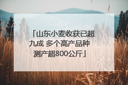 山东小麦收获已超九成 多个高产品种测产超800公斤