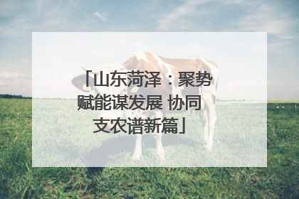 山东菏泽：聚势赋能谋发展 协同支农谱新篇
