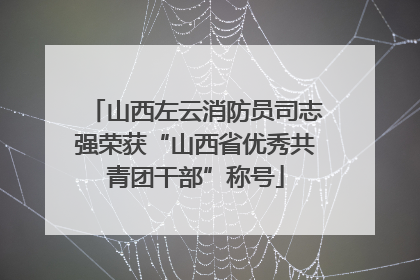 山西左云消防员司志强荣获“山西省优秀共青团干部”称号