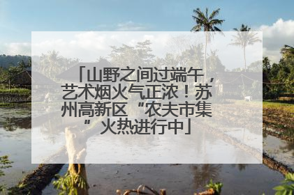 山野之间过端午，艺术烟火气正浓！苏州高新区“农夫市集”火热进行中