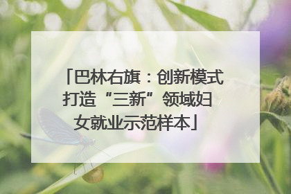 巴林右旗：创新模式 打造“三新”领域妇女就业示范样本