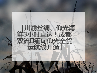 川渝丝绸、仰光海鲜3小时直达！成都双流⇌缅甸仰光全货运航线开通