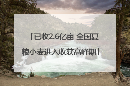 已收2.6亿亩 全国夏粮小麦进入收获高峰期