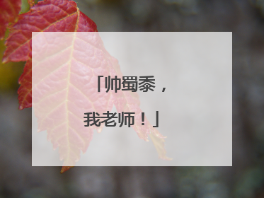 帅蜀黍，我老师！