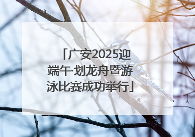 广安2025迎端午·划龙舟暨游泳比赛成功举行