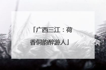 广西三江：荷香侗韵醉游人