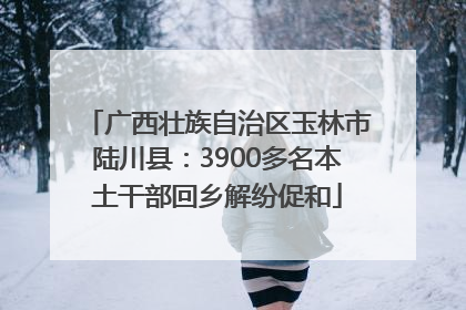 广西壮族自治区玉林市陆川县：3900多名本土干部回乡解纷促和