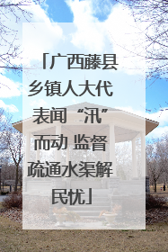 广西藤县乡镇人大代表闻“汛”而动 监督疏通水渠解民忧