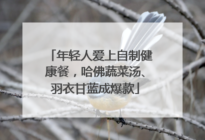 年轻人爱上自制健康餐，哈佛蔬菜汤、羽衣甘蓝成爆款