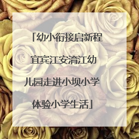 幼小衔接启新程 宜宾江安淯江幼儿园走进小坝小学体验小学生活
