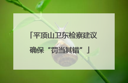 平顶山卫东检察建议确保“罚当其错”