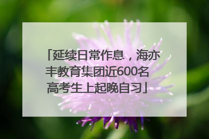 延续日常作息，海亦丰教育集团近600名高考生上起晚自习