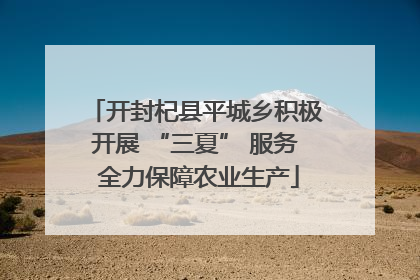 开封杞县平城乡积极开展 “三夏” 服务 全力保障农业生产