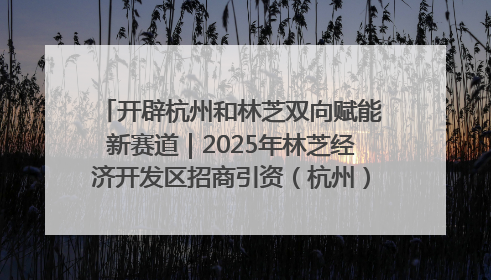 开辟杭州和林芝双向赋能新赛道｜2025年林芝经济开发区招商引资（杭州）推介展销活动在杭举办