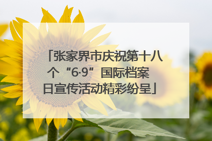 张家界市庆祝第十八个“6·9”国际档案日宣传活动精彩纷呈