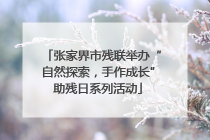 张家界市残联举办“自然探索，手作成长”助残日系列活动