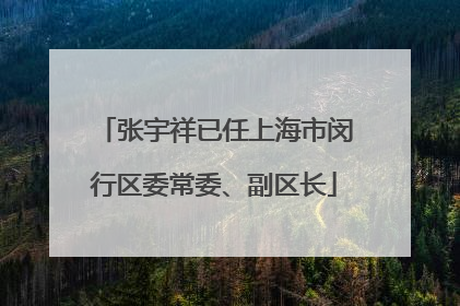 张宇祥已任上海市闵行区委常委、副区长