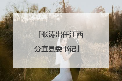 张涛出任江西分宜县委书记