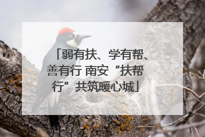 弱有扶、学有帮、善有行 南安“扶帮行”共筑暖心城
