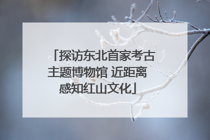 探访东北首家考古主题博物馆 近距离感知红山文化