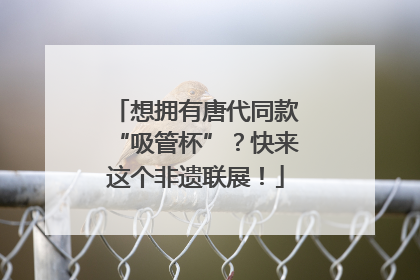 想拥有唐代同款“吸管杯”？快来这个非遗联展！