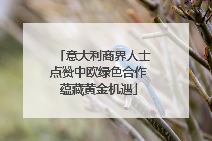 意大利商界人士点赞中欧绿色合作蕴藏黄金机遇