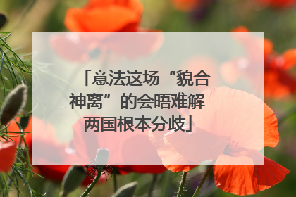 意法这场“貌合神离”的会晤难解两国根本分歧