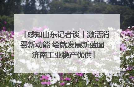 感知山东记者谈丨激活消费新动能 绘就发展新蓝图 济南工业稳产优供