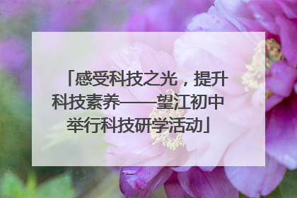 感受科技之光，提升科技素养——望江初中举行科技研学活动