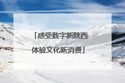 感受数字新陕西 体验文化新消费