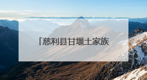 慈利县甘堰土家族乡：“汛”速响应！奋战抢险救灾一线