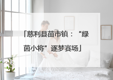慈利县苗市镇：“绿茵小将”逐梦赛场