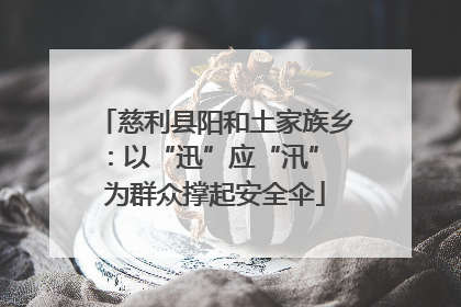 慈利县阳和土家族乡：以“迅”应“汛” 为群众撑起安全伞