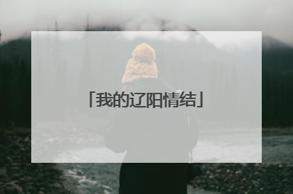 我的辽阳情结