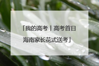 我的高考丨高考首日 海南家长花式送考
