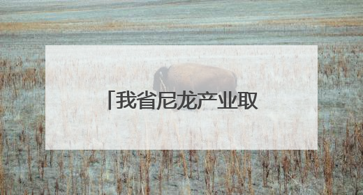 我省尼龙产业取得新突破！平煤神马实现关键原材料进口替代