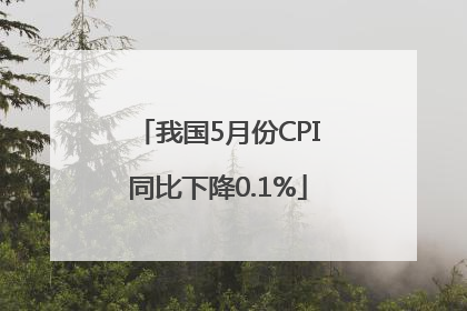 我国5月份CPI同比下降0.1%