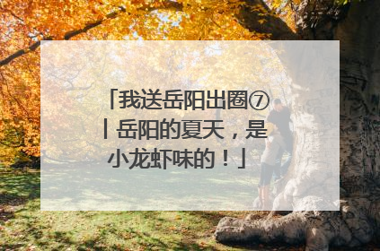 我送岳阳出圈⑦丨岳阳的夏天，是小龙虾味的！