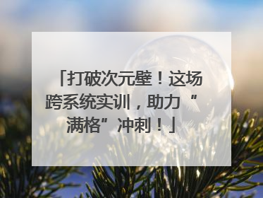 打破次元壁！这场跨系统实训，助力“满格”冲刺！