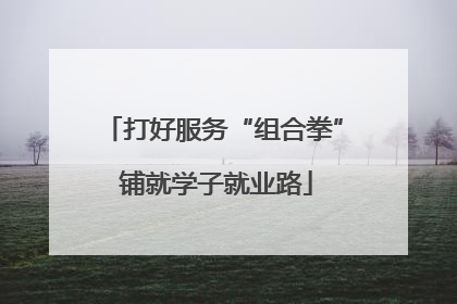 打好服务“组合拳” 铺就学子就业路