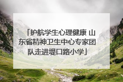 护航学生心理健康 山东省精神卫生中心专家团队走进堤口路小学